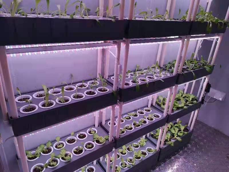 1686563114556338.jpg e3b9d01945214e0a9991b83bd565d73d_1685697809160039.jpg